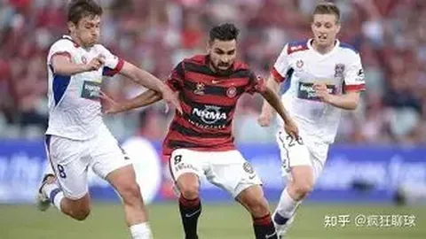 问鼎娱乐 产品 122609 vcp