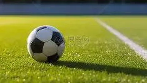 问鼎娱乐 产品 122624 ljv